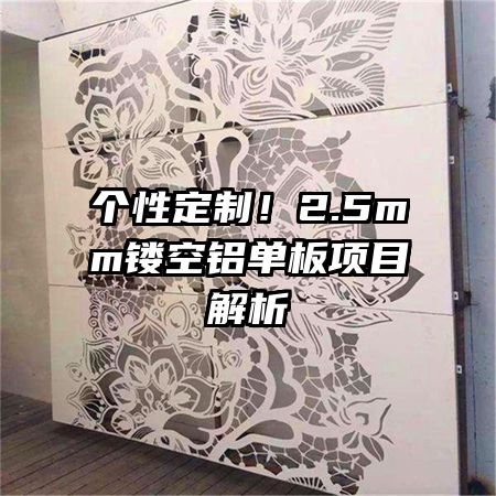 个性定制！2.5mm镂空铝单板项目解析